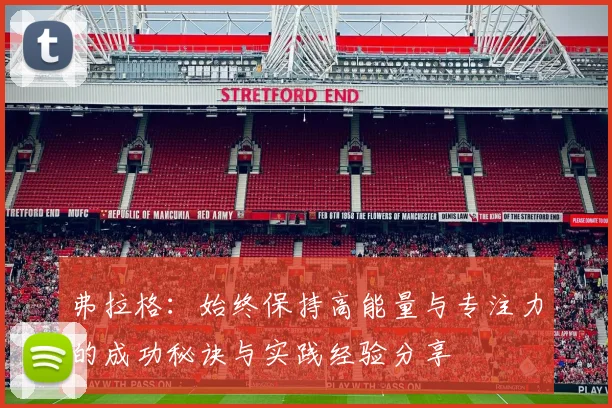 弗拉格：始终保持高能量与专注力的成功秘诀与实践经验分享