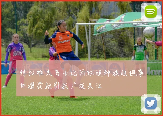 特拉维夫马卡比因球迷种族歧视事件遭罚款引发广泛关注