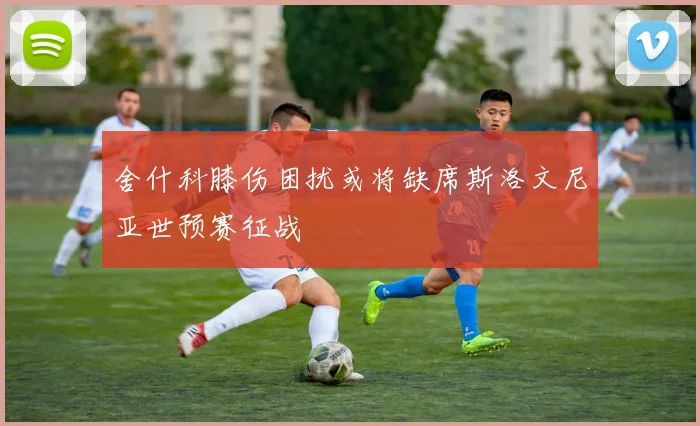 舍什科膝伤困扰或将缺席斯洛文尼亚世预赛征战